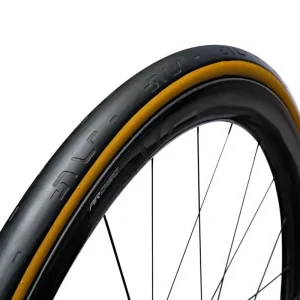 Edullinen ENVE SES 700c Tubeless Ready -rengas Beige