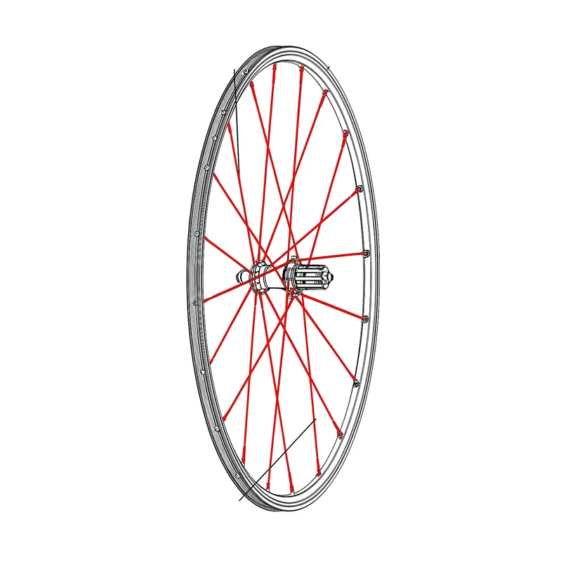 Kit 12 Rayons Ar MAVIC CROSSRONE/CROSSRIDE FTS-X 262mm Tukkuhinta