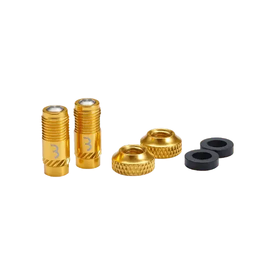 BBB CORE CAP -venttiilinsydämet Kulta (x2) Halpa Hinta