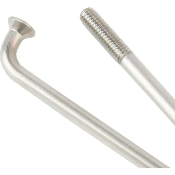 Asiakkaiden Suosikki DT Swiss Champion Pinna 13x248mm Inox - 100 Kappaleet