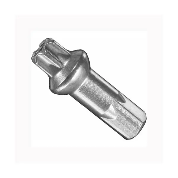 Alennus DT Swiss Squorx Pinnaruuvi 15mm - Hopea (100)