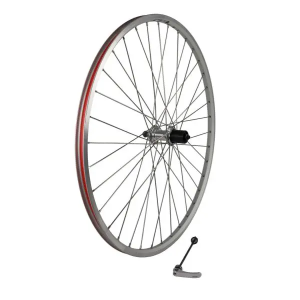 Zac19 Takapyörä 28 Tuumaa 24mm Shimano 8/9V Alumiini - Hopea Alennettu Hinta