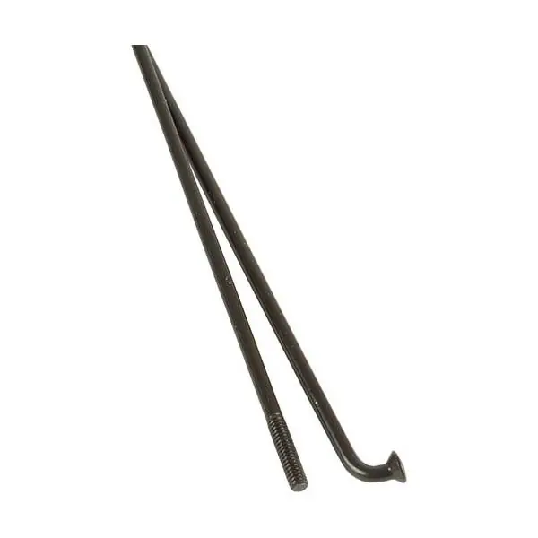 Aito DT Swiss Champion Pinna 14 268mm Ilman Nippa - Musta